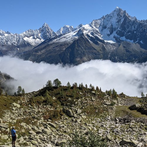 Tour du Mont Blanc Guide – Scenic Trails & Tips